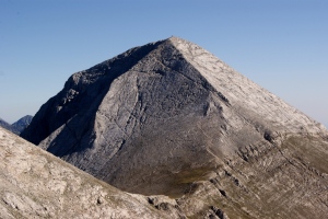39-   -  
    
  
