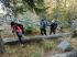 <br>
 " " - <br>
 " "